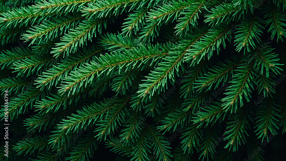 Lush Fir Tree Branches: Versatile Christmas Backdrop for Holiday Marketing, Greeting Cards, and Festive Designs Lush Fir Tree Branches: Versatile Christmas Backdrop for Holiday Marketing, Greeting Cards, and Festive Designs