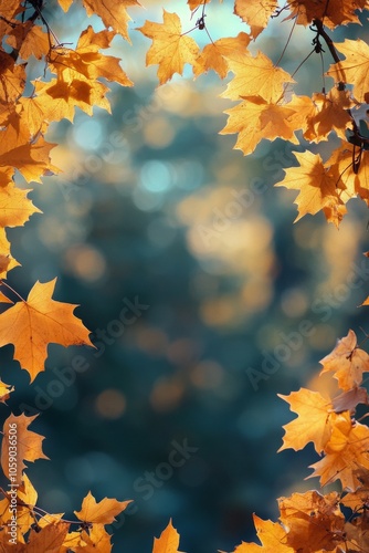 Autumn leaves frame a tranquil forest path during golden hour in a serene lan...
