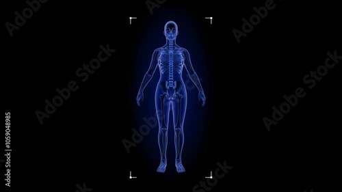 Medical HUD Hologram Animation of Female Skeleton X-Ray in Blue Tones on Black Background - Perfect for Healthcare and Scientific Presentations