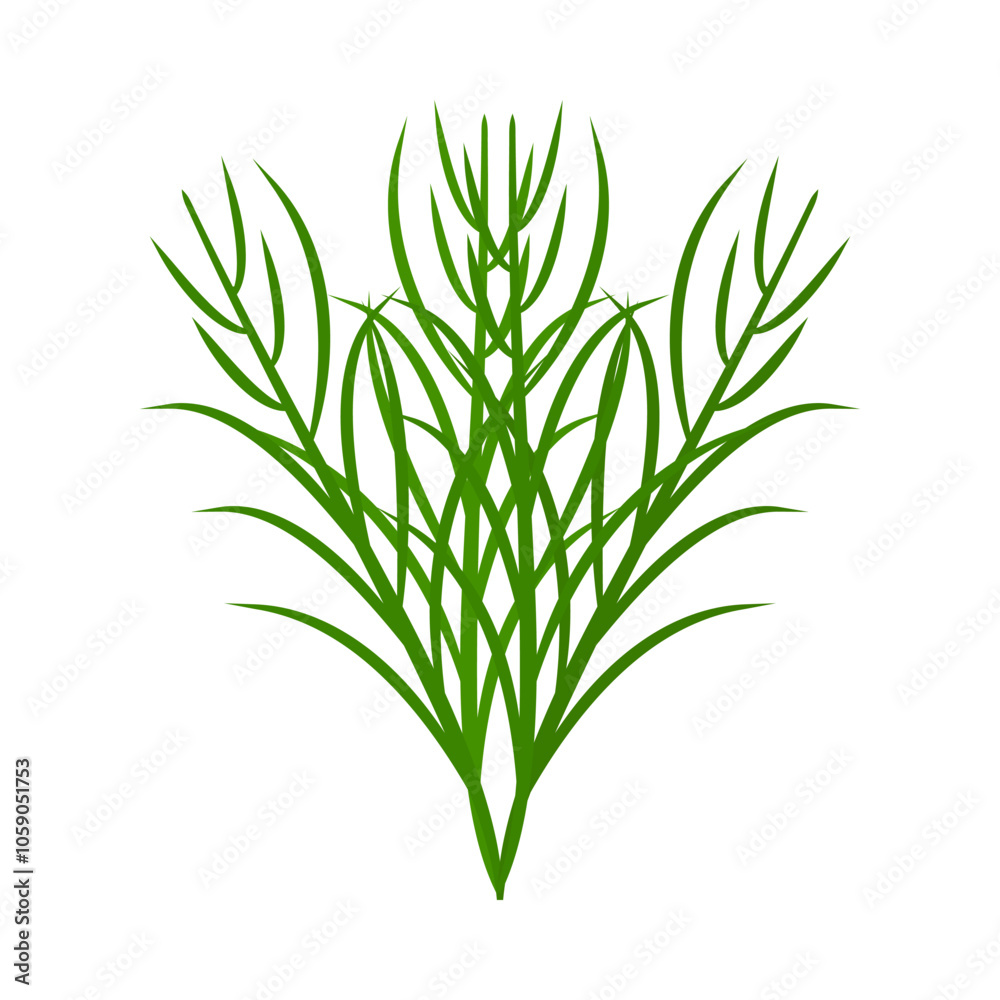A bunch of tarragon. Part of my color flat set of the 15 best herbs for cooking. Greens on a white. Herbs for meat, fish, drinks and cocktails. For app, design, web, interface, ad. Vector EPS 10. A bunch of tarragon. Part of my color flat set of the 15 best herbs for cooking. Greens on a white. Herbs for meat, fish, drinks and cocktails. For app, design, web, interface, ad. Vector EPS 10.