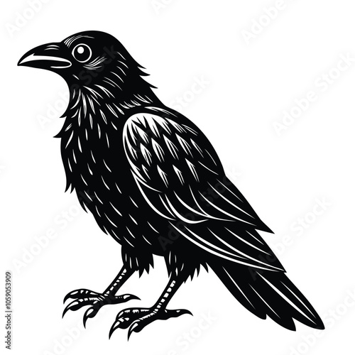 Detailed Black and White Raven Illustration photo