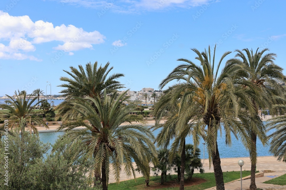 Blick in die Altstadt von Palma de Mallorca Blick in die Altstadt von Palma de Mallorca