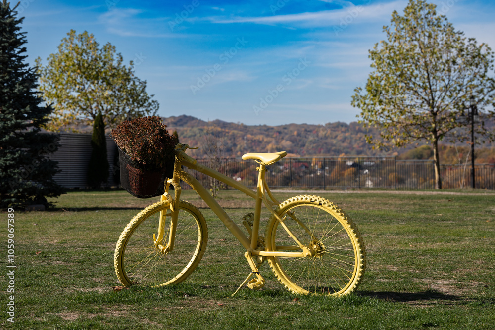 Fototapeta premium bicycle in the park