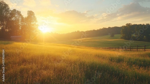 Golden sunset over a vast grassy field with trees in the background.