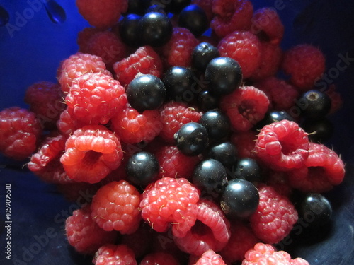 Red Strawberries and Wild Strawberries in a backet on the table in Belarus photo