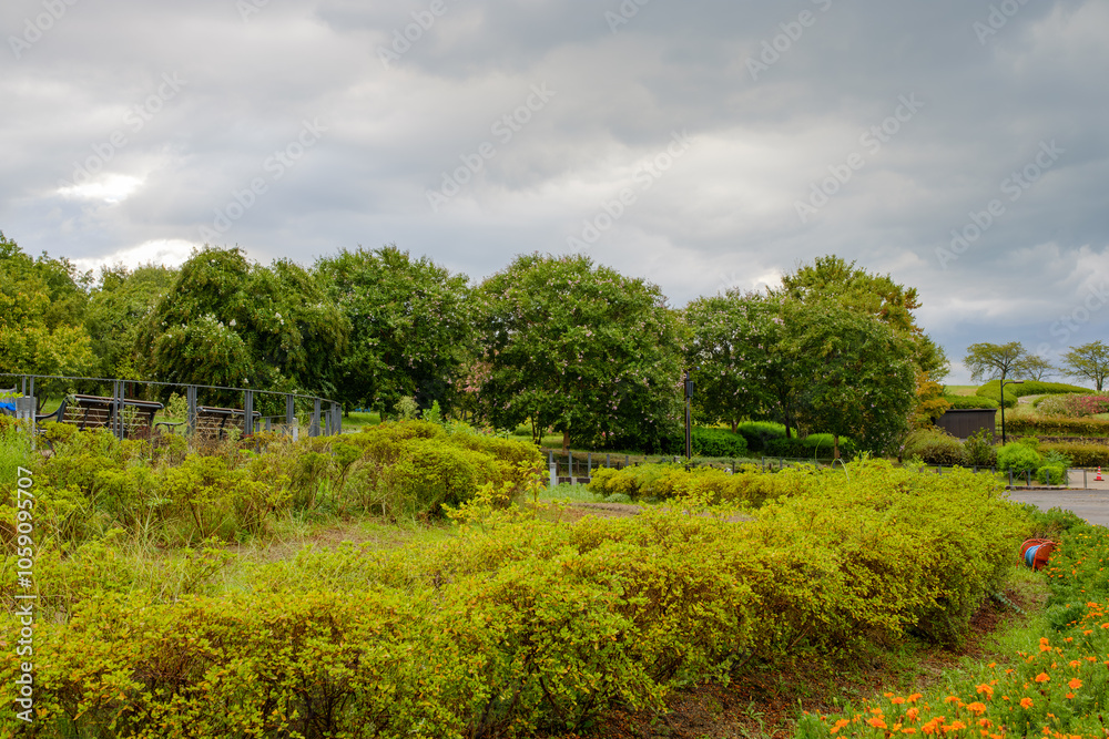 Fototapeta premium Lush Garden Landscape with Blooming Trees Under Cloudy Sky