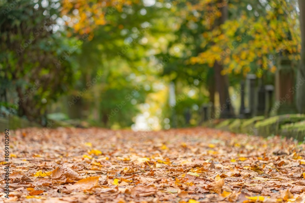 Serene autumn pathway covered with fallen leaves.