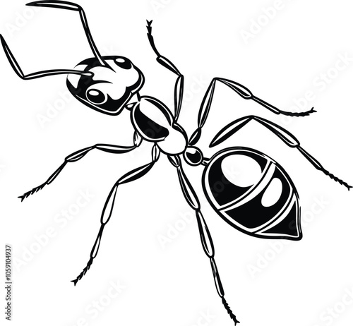  ant vector illustration black and white