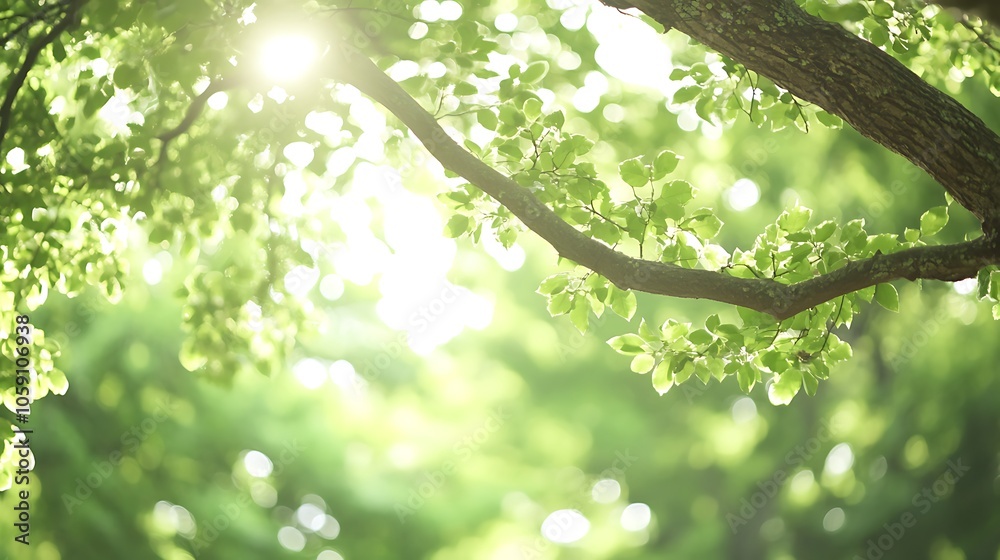 Sun shining through green leaves Soft Pastel Background for Graphic Design Templates Sun shining through green leaves Soft Pastel Background for Graphic Design Templates