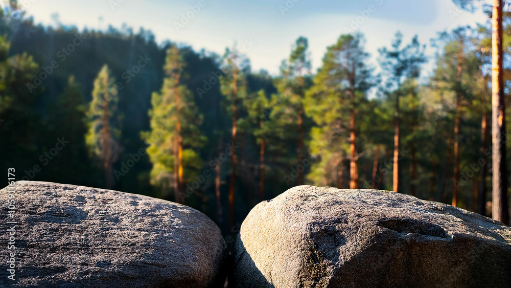 Granite stones lying on the forest floor against a backdrop of lush green trees. Granite stones lying on the forest floor against a backdrop of lush green trees.