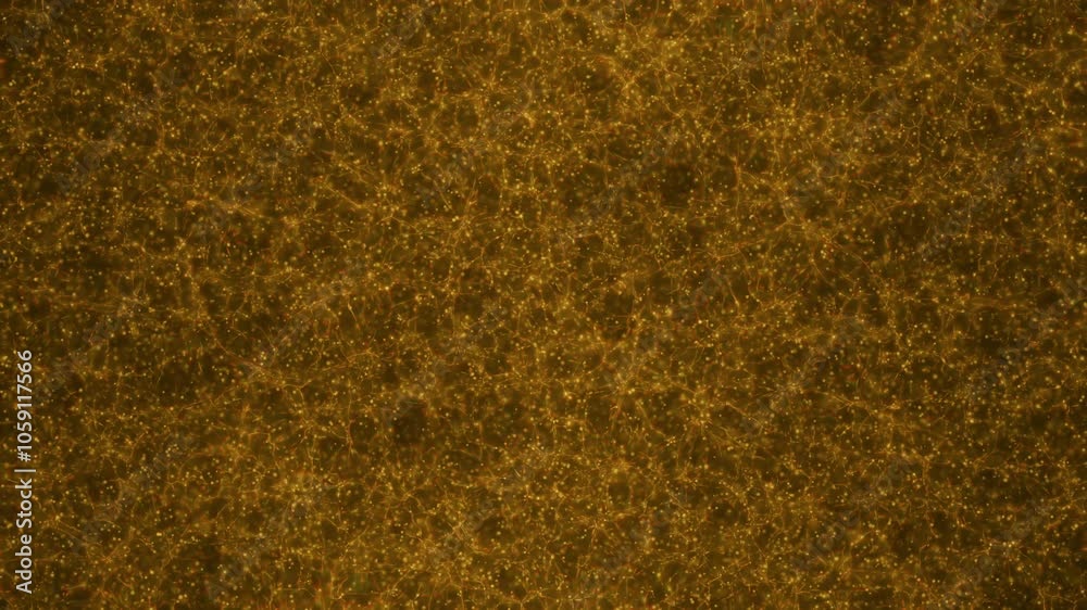 Happy new year 2025 motion animation. Abstract motion background shining colorful particles. New year and Christmas 2025, 2024 background. Seamless 4K loop video. Happy new year 2025 motion animation. Abstract motion background shining colorful particles. New year and Christmas 2025, 2024 background. Seamless 4K loop video.