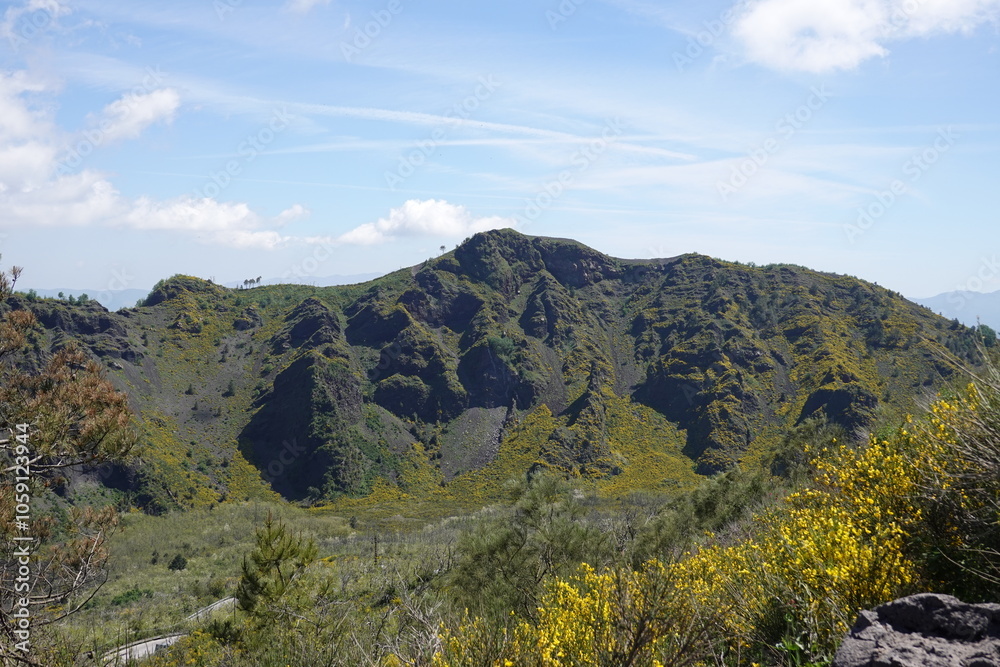 Naklejka premium Vesuvio