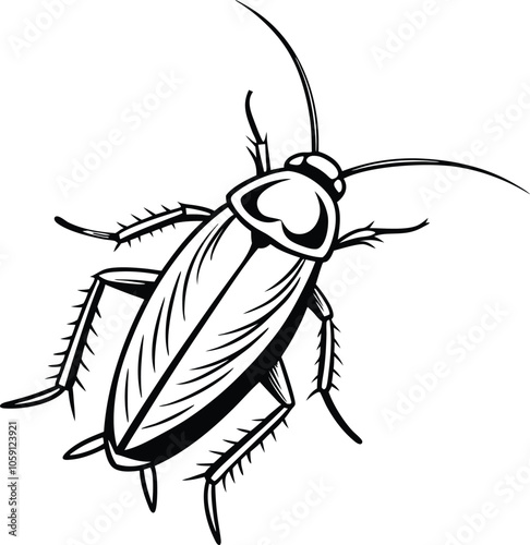 Cockroach vector illustration black and white