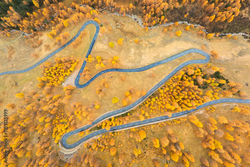 Drone view of a road with curves. Asphalt road in the middle of the forest. A...