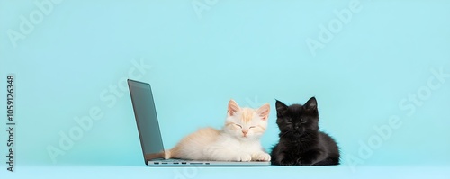 Two Cats Relaxing by Laptop  Charming Scene of Feline Serenity Ignoring Digital Distractions in Cozy Home Environment photo