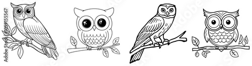 A modern black silhouette of an owl perched on a T-shirt