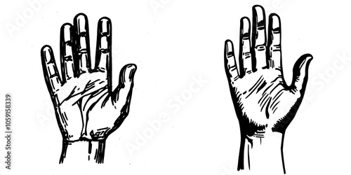 Woman's Hand Showing Gesture Sign Amount. Girl Showing Gesturing Counting Number Signal Black And White Closeup Illustration.