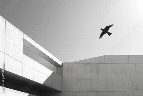 a bird flying over a building with a sky background photo