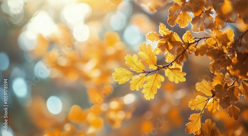 Vibrant yellow oak leaves in early autumn sunlight at a forest edge