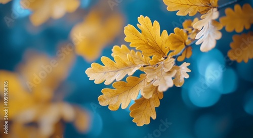 Vibrant yellow oak leaves in early autumn sunlight at a forest edge