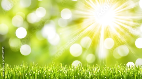Green Grass and Sunlight Background Abstract Gradient Background with Copy Space