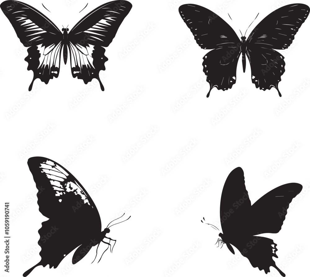collection of butterflies collection of butterflies