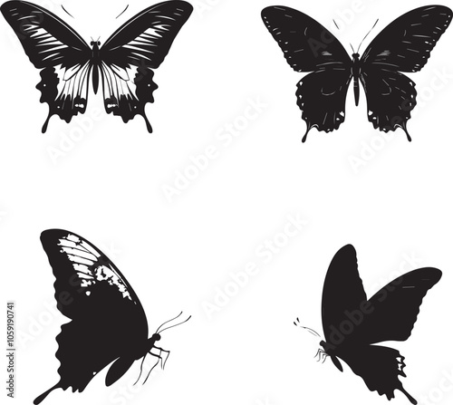 collection of butterflies