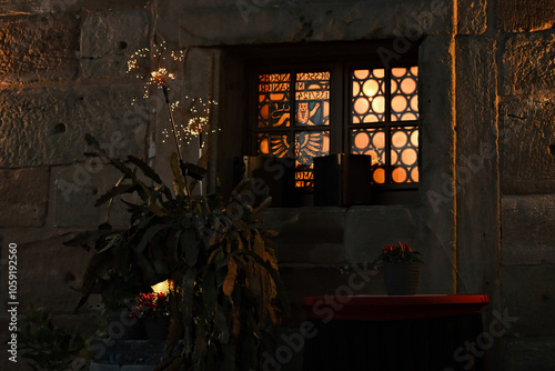 A lighted window and a flower at night