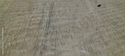 wood texture