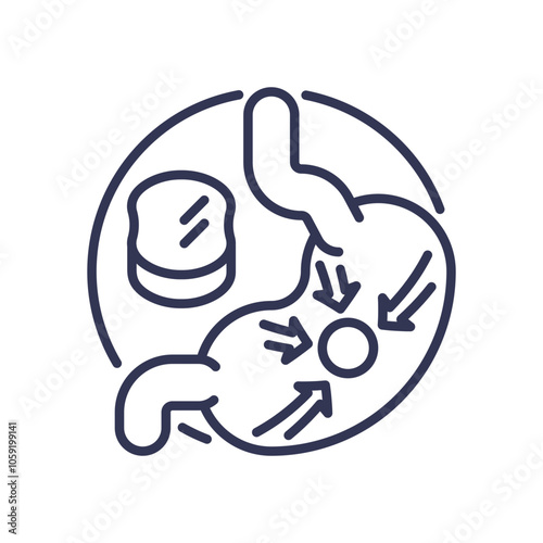 Illustration of stomach and pill, symbolizing nutrient absorption.