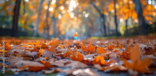 Close-Up View of Fallen Autumn Leaves on a Sunny Day