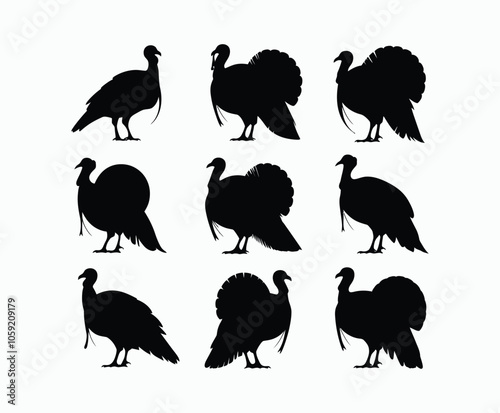 A Collection of Simple Turkey Poses Silhouette Template Illustration