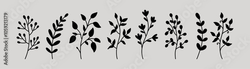 Botanical silhouette elements. Floral doodles. Set of abstract twigs with leaves of different shapes. Hand-drawn vector illustration. Perfect for cards, decorations, various designs.