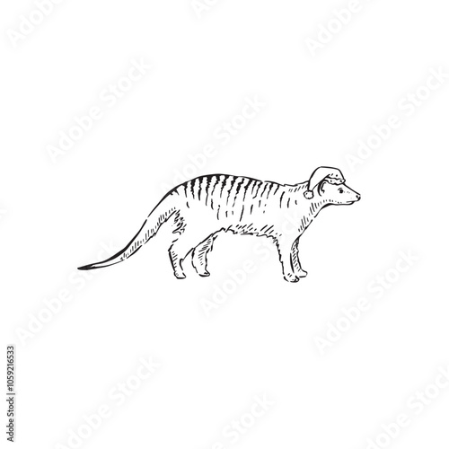 A mongoose wearing a Christmas hat. Hand drawn in black and white sketch style. photo