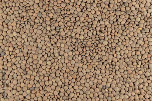 Raw lentils (Lens culinaris) from Lanzarote Island, Canary Islands, Spain, in close-up photo