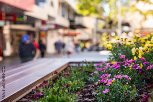 garden bed in Queen Street mall with pedestrians out of focus
