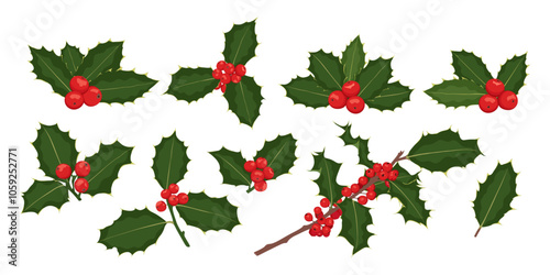 Christmas holly berry flat set. Green leaves and red berries isolated on white background. Elements suitable for decorative Christmas festival, New year invitations, greeting cards.