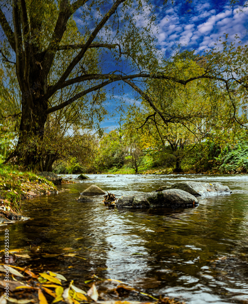 Mountain, clean river in the autumn city of Freiburg. Germany. Mountain, clean river in the autumn city of Freiburg. Germany.