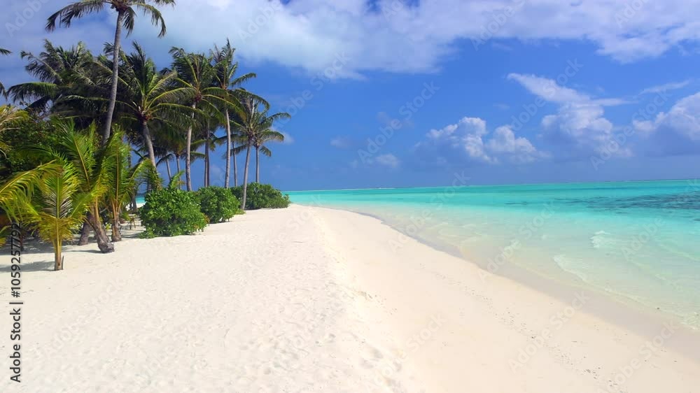 A beautiful tropical Beach with Palm trees and clear blue Water at the Maldives A beautiful tropical Beach with Palm trees and clear blue Water at the Maldives