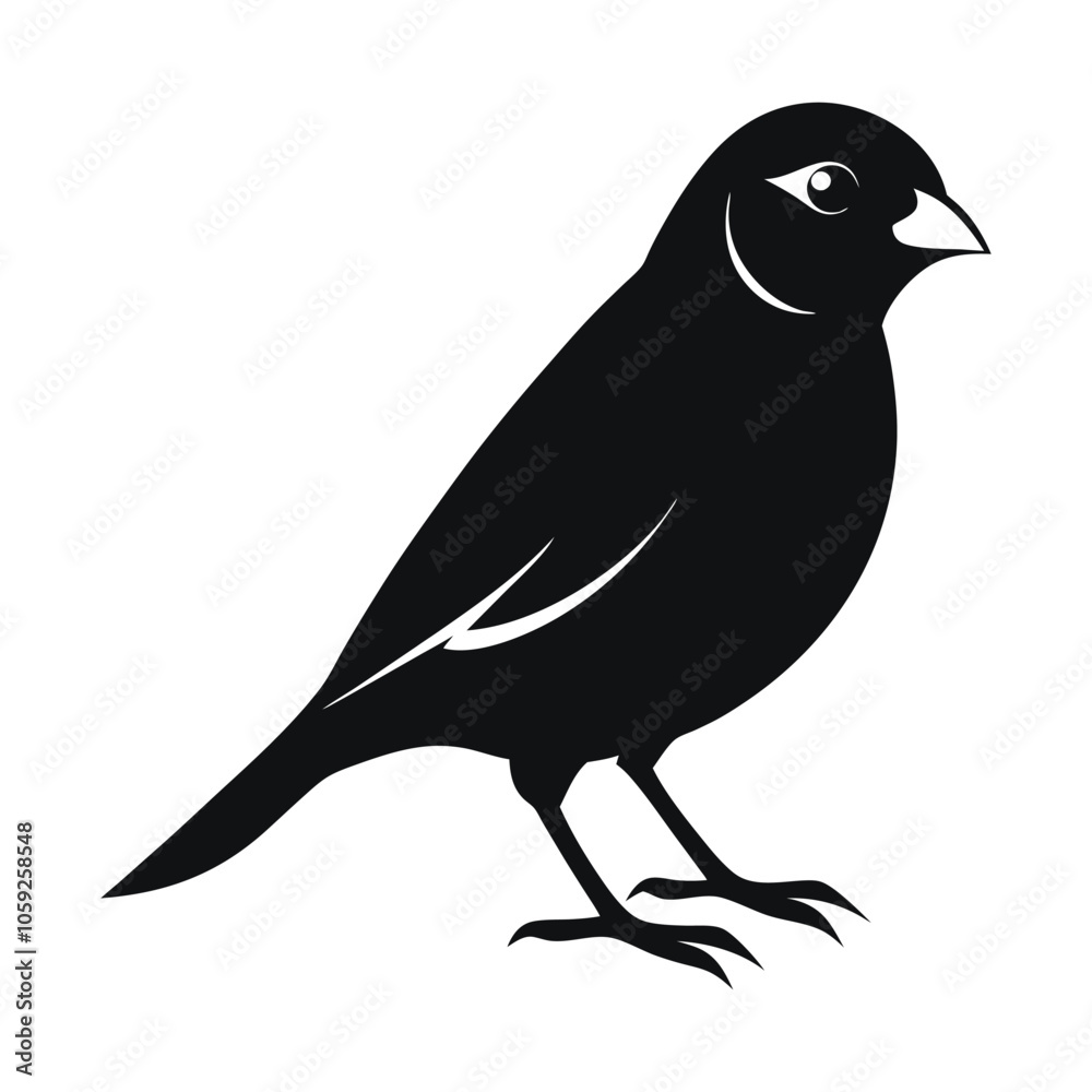 Fototapeta premium Black Color Finch Vector Silhouette With White Background