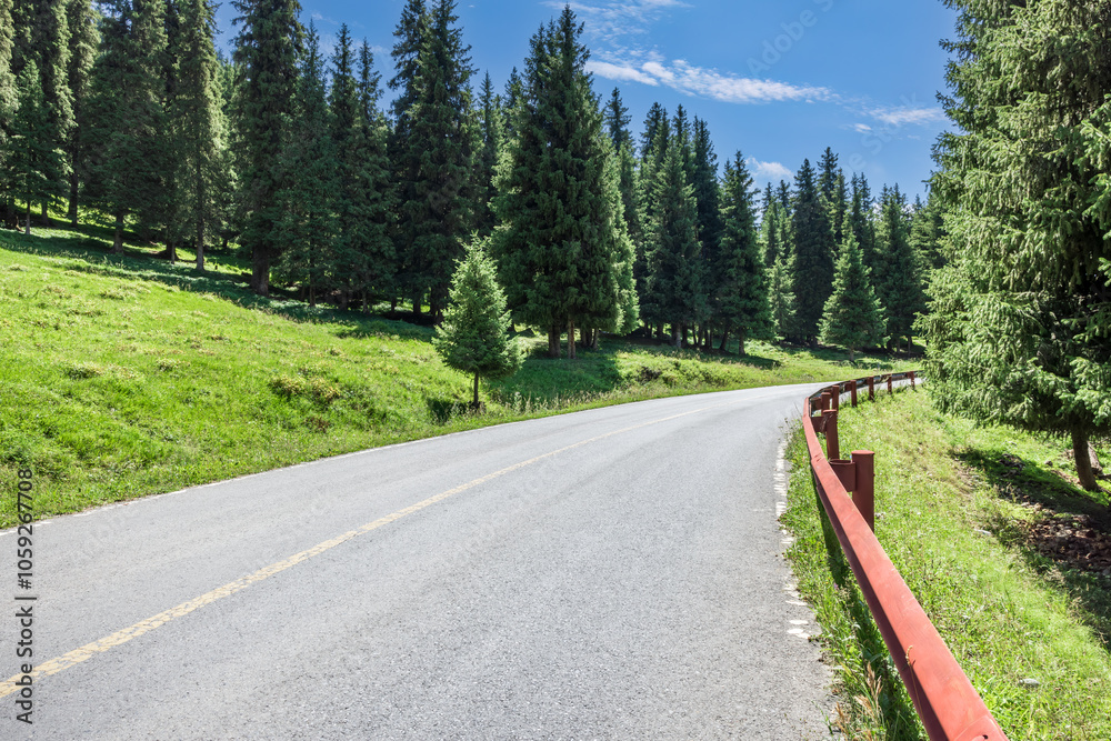 Fototapeta premium Forest and mountains with empty road