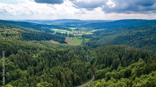 aerial view of green forest valley with winding road under cloudy sky