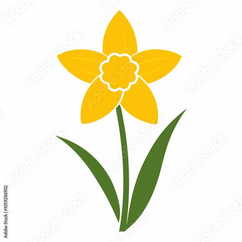 Silhouette of Daffodil on White Background