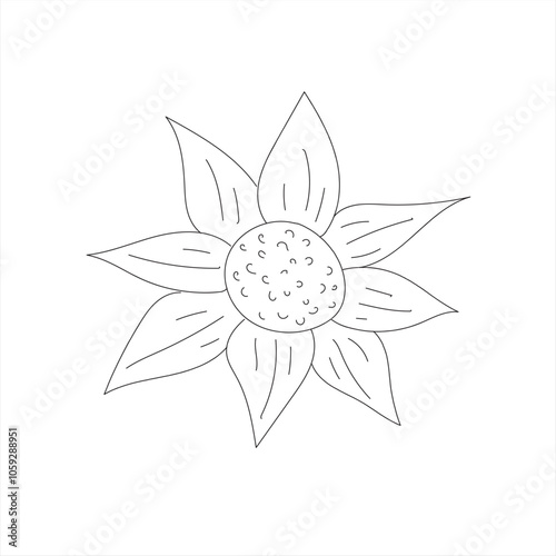 white lotus flower, line art of lotus flower vector 