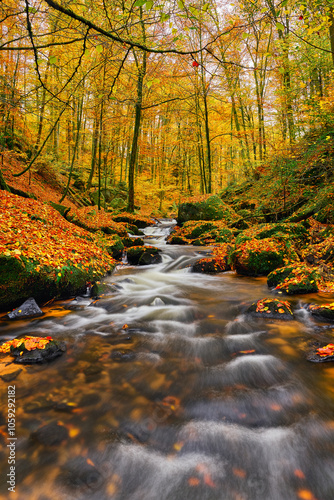 Karlstal im Herbst photo