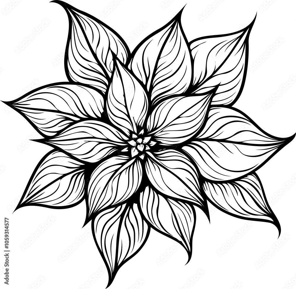 Fototapeta premium Silhouette of Christmas flower poinsettia with a transparent background.