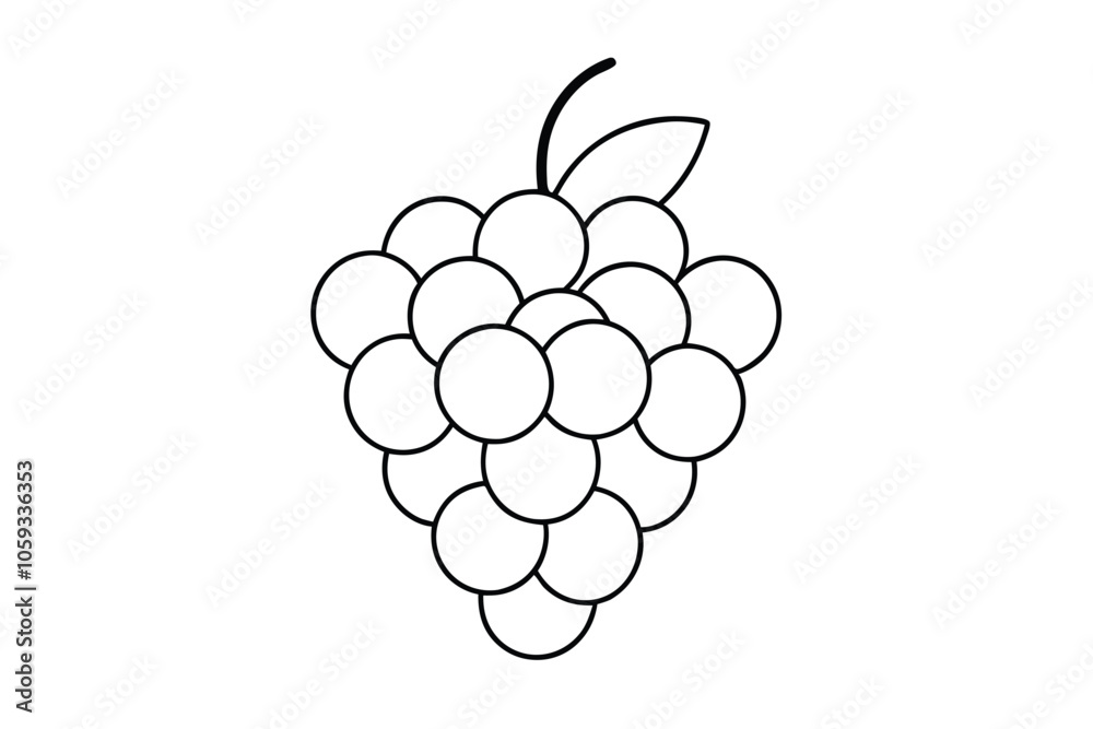 Grape fruit line art vector illustration Grape fruit line art vector illustration