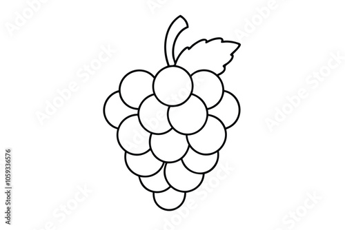 Grape line art vector illustration