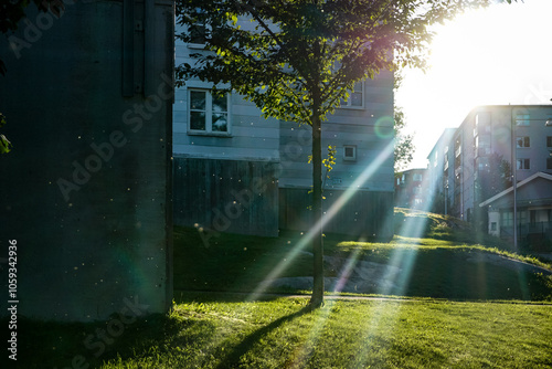 Photography A meadow at the neighborhood in Solna