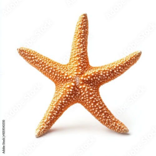 A bright orange starfish with a textured surface, showcasing its unique five-point shape against a white background.